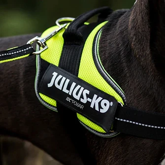 Julius-K9 Magyarország