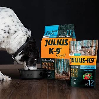 Julius-K9 Magyarország