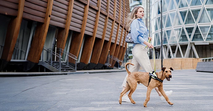 Julius-K9 Magyarország