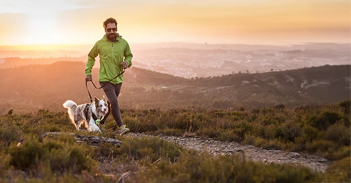 Julius-K9 Magyarország