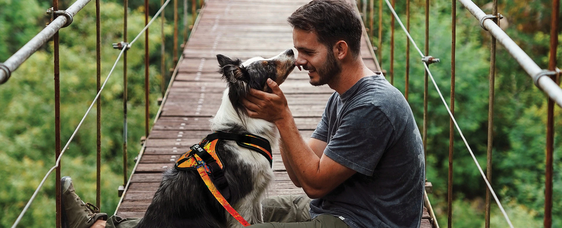 Julius-K9 Magyarország