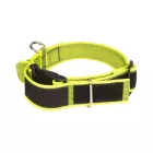 IDC Color&Gray 40 mm széles nyakörv fogóval, biztonsági zárral és cserélhető felirattal, UV sárga