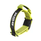 IDC Color&Gray 40 mm széles nyakörv fogóval, biztonsági zárral és cserélhető felirattal, UV sárga