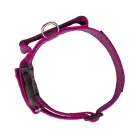 IDC Color&Gray 40 mm széles nyakörv fogóval, biztonsági zárral és cserélhető felirattal, pink