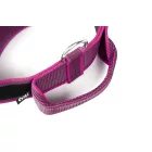 IDC Color&Gray 40 mm széles nyakörv fogóval és cserélhető felirattal, pink