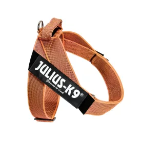    IDC® Color & Gray hevederhám 23 – 30 Kg-os kutyák számára - L / 1 - narancs