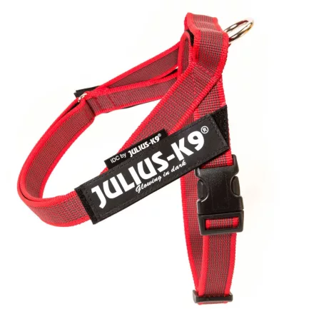  IDC® Color & Gray hevederhám 4 – 7 Kg-os kutyák számára - XS / Mini-Mini - piros