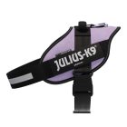 IDC® Kutyahám, 28 - 40 Kg-os kutyák számára - XL / Méret 2 - lila