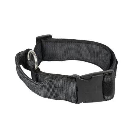 IDC Color&Gray 50 mm széles nyakörv fogóval és cserélhető felirattal, fekete