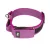 IDC Color&Gray 50 mm széles nyakörv fogóval, biztonsági zárral és cserélhető felirattal, pink