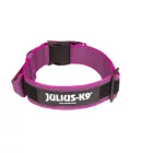 IDC Color&Gray 50 mm széles nyakörv fogóval, biztonsági zárral és cserélhető felirattal, pink