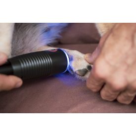JK9 Pet Laser