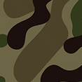 Camouflage
