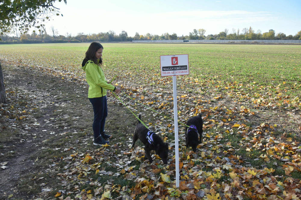     IDC® Kutyahám, 1 – 3 Kg-os kutyák számára – 3XS / Baby 1 - terep